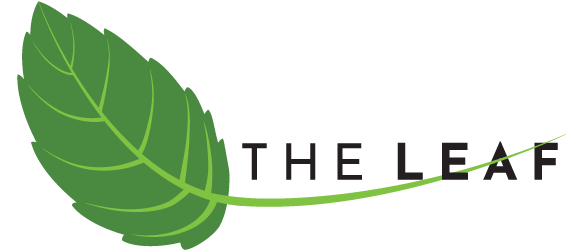 The Leaf 
